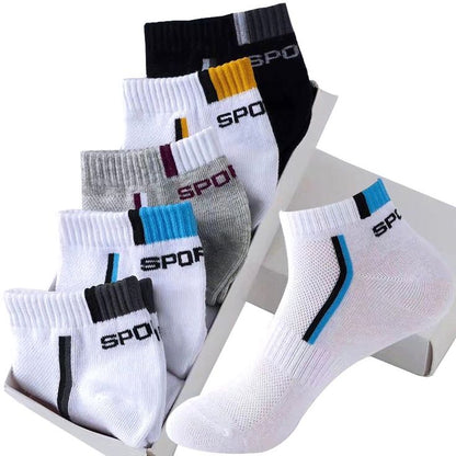 Pack Of 5 Premium Quality Daily Wear Cotton Socks