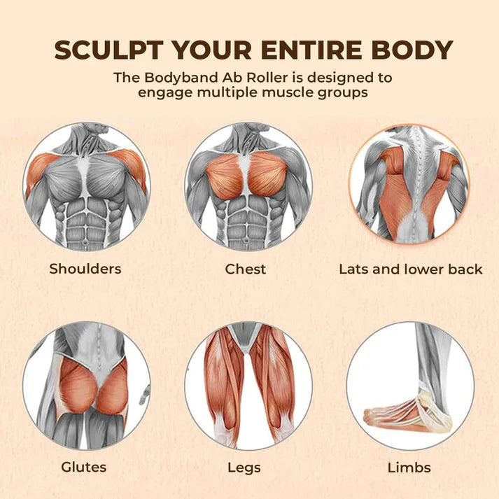 Abdominal Exercise Roller assorted color