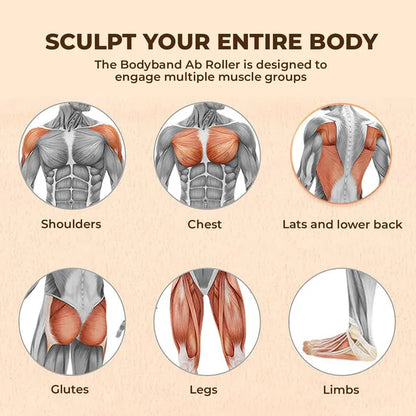 Abdominal Exercise Roller assorted color